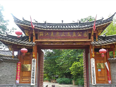 三文鱼介绍 三文鱼介绍